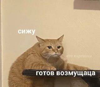 Sticker УЪУЪУЪ - 8