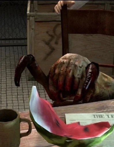 дыня фрукт комнатный