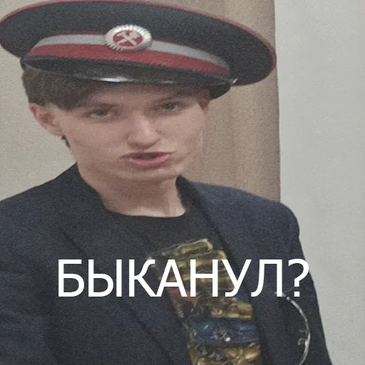 Sticker halvanimals - 1