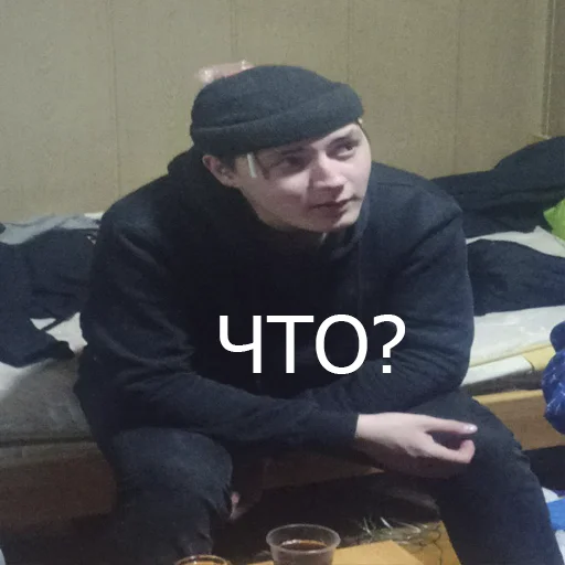 Sticker halvanimals - 1