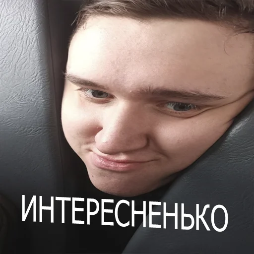 Sticker halvanimals - 1