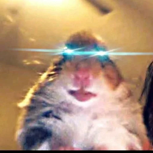 Sticker хомяг :: @fStikBot - 8