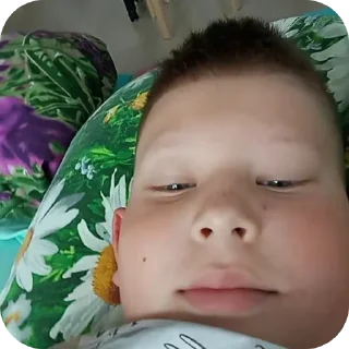 Sticker hamstercrimmenalboskfs @TgEmodziBot - 2