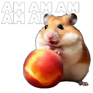 Sticker хамяки от @hamyaki - 5