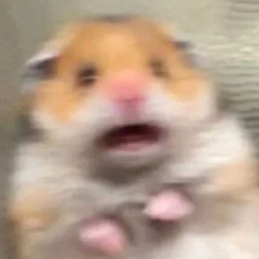 ∞︎ @stickersff ∞ - 