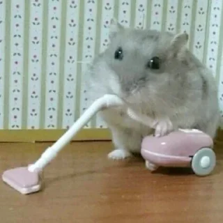 Sticker ∞︎ @stickersff ∞ - 5