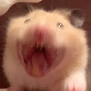 Sticker ∞︎ @stickersff ∞ - 7