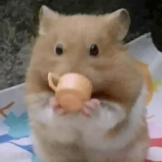 Sticker ∞︎ @stickersff ∞ - 4