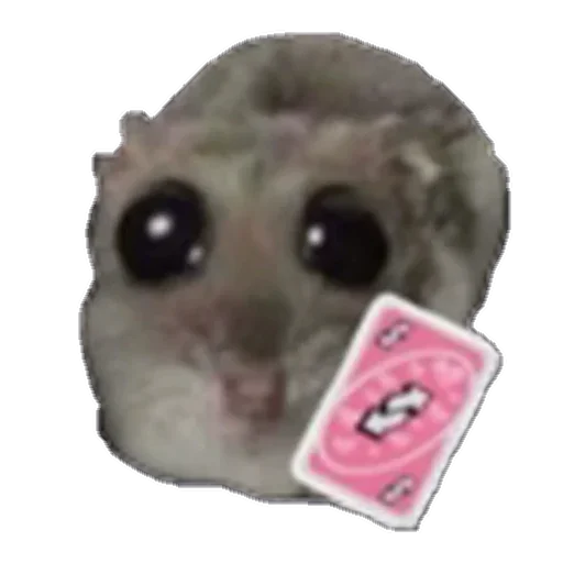 животное мультфильм млекопитающее