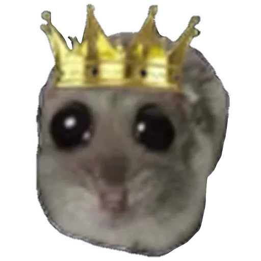 животное млекопитающее лемур