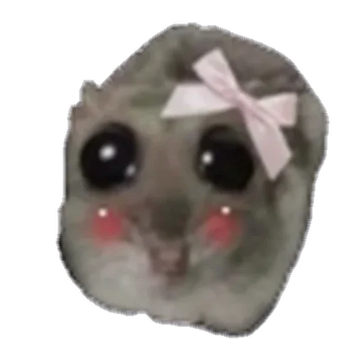 животное собака