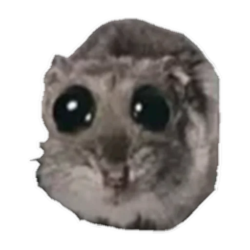 sad hamster by weekkoi - 