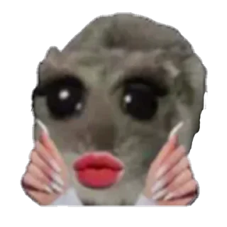 млекопитающее челюсть комнатный