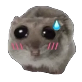 животное собака искусство