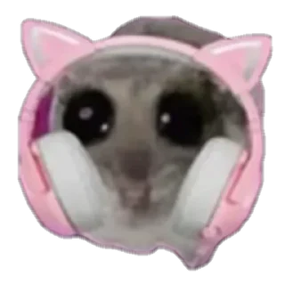 животное комнатный Наушники