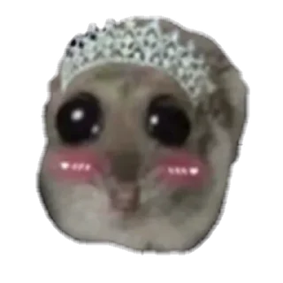 сова животное маска