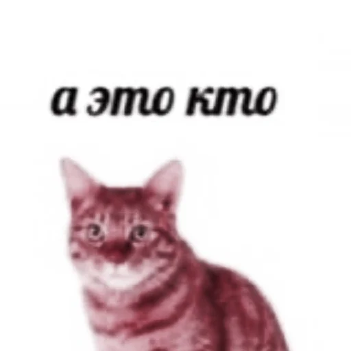 Sticker hanjisungbro - 1