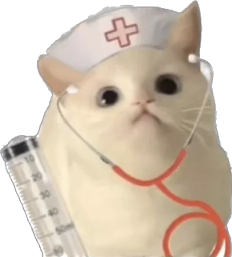 Sticker hapiKiti - 1