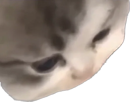 Стикер hapiKiti - 1