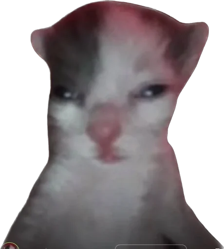 Стикер hapiKiti - 1