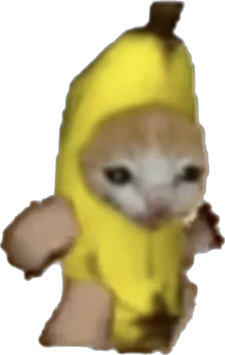 Sticker hapiKiti - 1