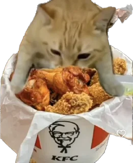 Стикер Хапи - 4