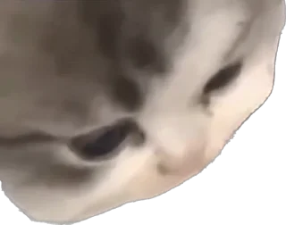 Стикер Хапи - 7