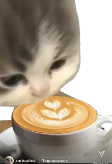 Стикер Хапи - 8