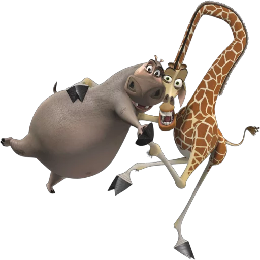 animal mammal giraffe