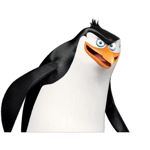 bird cartoon penguin