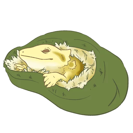 drawing cartoon animal