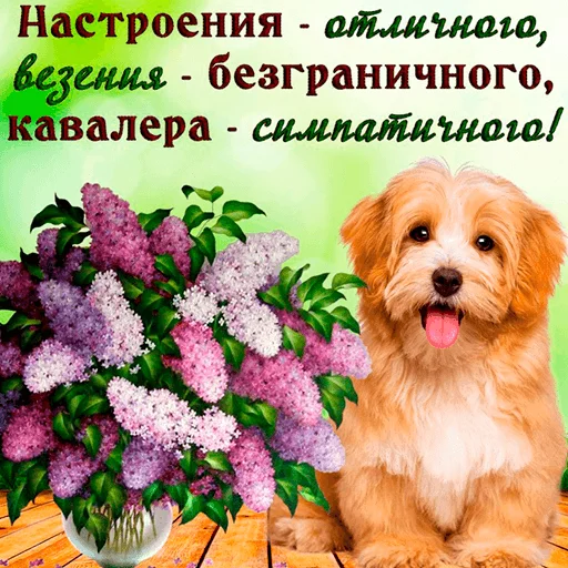 с днём спасибо 2.0 by @rvous - 