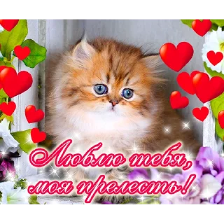 Стикер с днём спасибо 2.0 by @rvous - 5