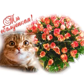 Стикер с днём спасибо 2.0 by @rvous - 7