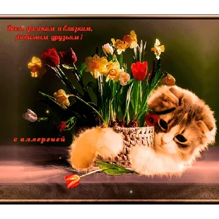 Стикер с днём спасибо 2.0 by @rvous - 8