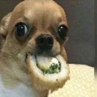 Стикер happy_dogs - 10