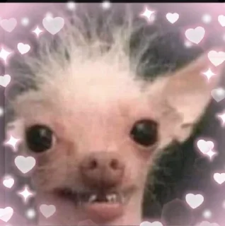 Стикер happy_dogs - 2