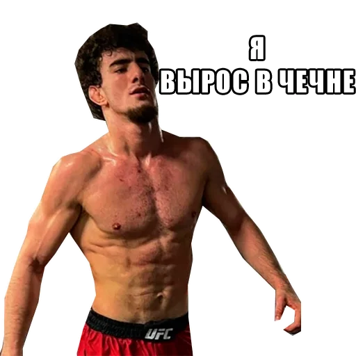 muscle man barechested