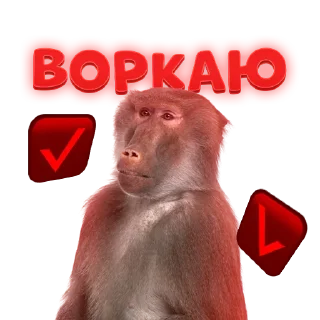 Стикер @HARDCORE_SCAM_Bot - 8