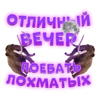 Стикер @HARDCORE_SCAM_Bot - 2