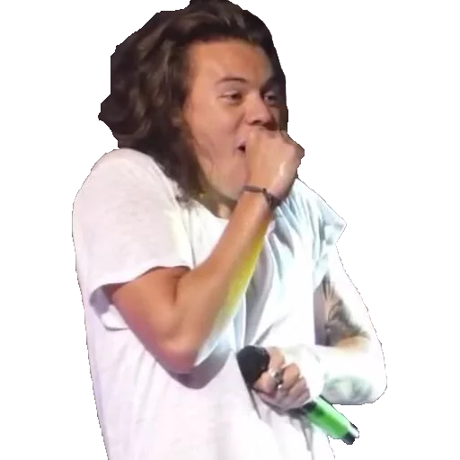 Sticker harrystylesgayicon - 1