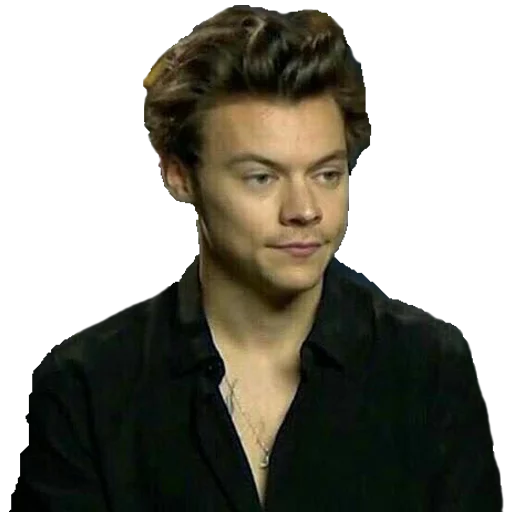 Sticker harrystylesgayicon - 1