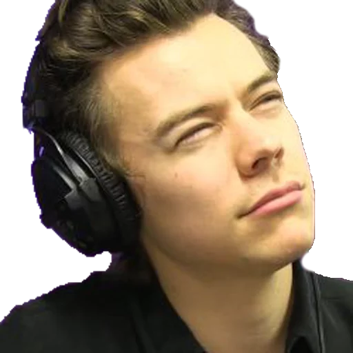 Sticker harrystylesgayicon - 1