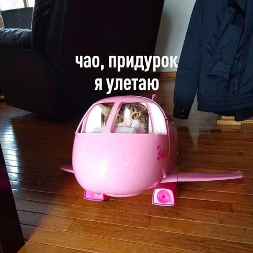 комнатный розовый этаж