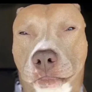 Стикер Больше стиков тут: @stikery4 - 11