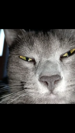 Стикер hdhdjeje - 1