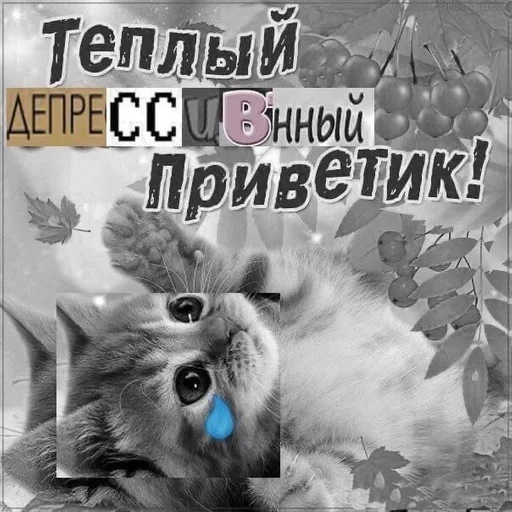 Sticker чт.. :: @fStikBot - 4