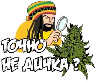 Sticker Мемы - @rasta_memes420 - 8