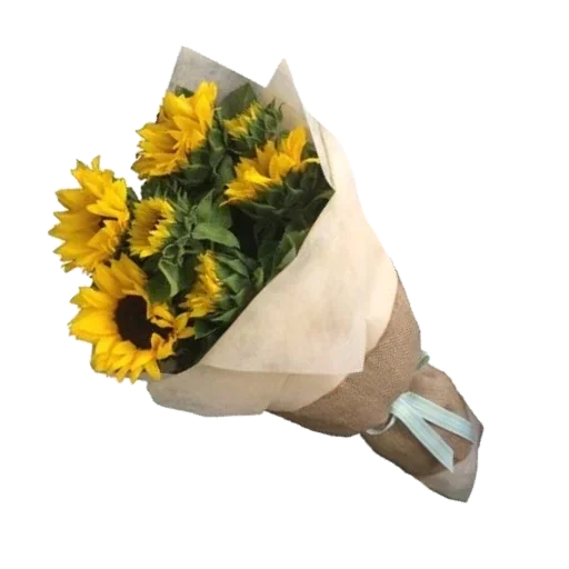 flower sunflower art