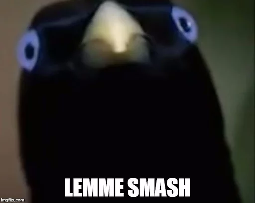 Стикер Birb - 0